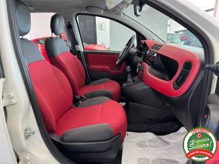 FIAT Panda usata, con Fendinebbia