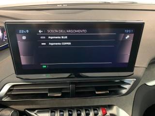 PEUGEOT 3008 usata, con Vivavoce