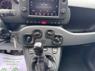 FIAT Panda usata, con Portapacchi