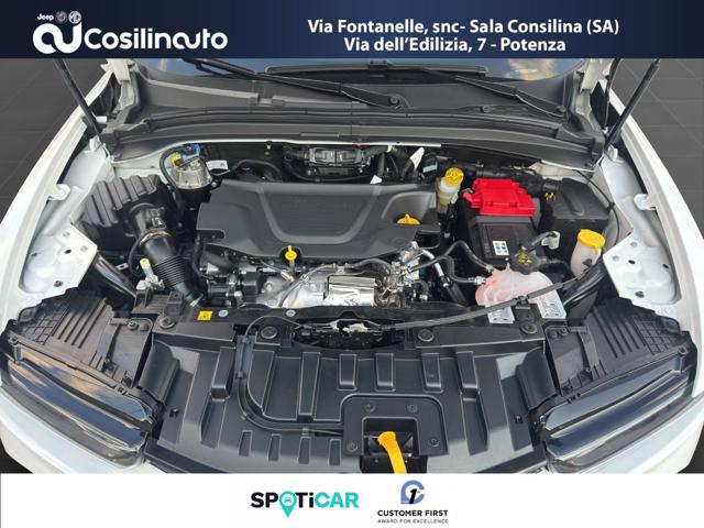 ALFA ROMEO Tonale usata, con Servosterzo