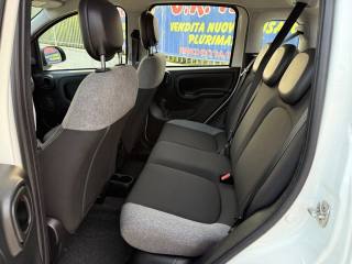 FIAT Panda usata 16