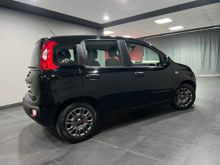 FIAT Panda usata, con Alzacristalli elettrici
