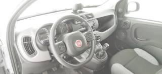 FIAT Panda usata 56