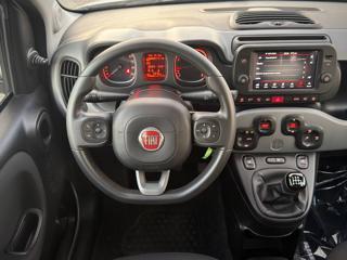 FIAT Panda usata, con Controllo vocale