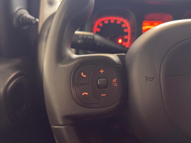 FIAT Panda usata 15