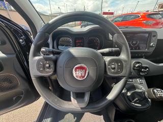 FIAT Panda usata, con Chiusura centralizzata
