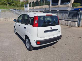 FIAT Pandina usata, con Chiusura centralizzata