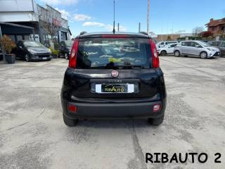 FIAT Panda usata, con Luce d