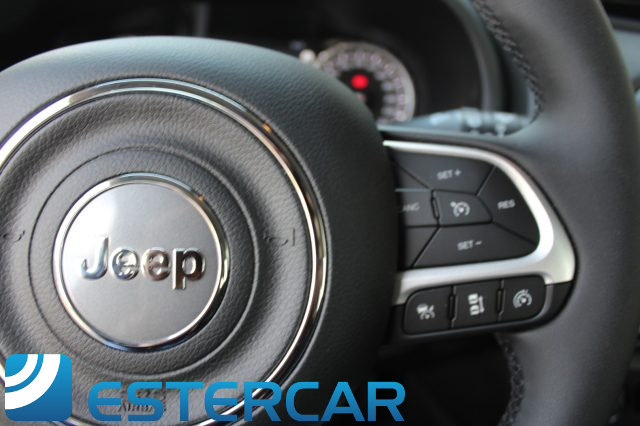 JEEP Renegade usata, con USB