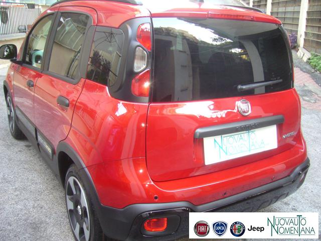 FIAT Panda Cross usata, con Fendinebbia