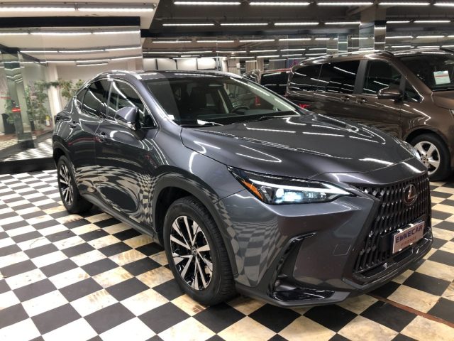 LEXUS NX 450h usata, con Airbag