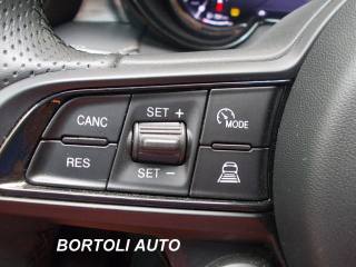 ALFA ROMEO Tonale usata, con Bracciolo