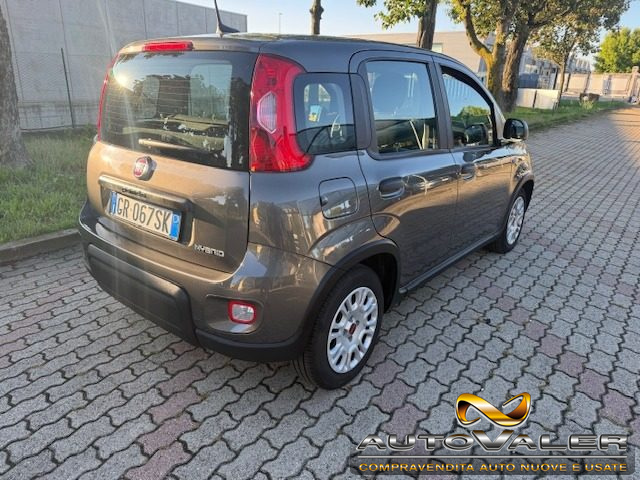 FIAT Panda usata, con Airbag Passeggero