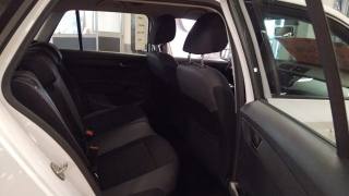 SKODA Fabia usata, con ESP