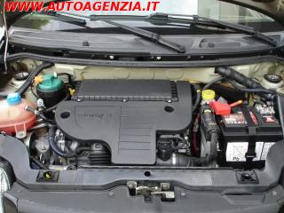 FIAT Panda usata 13