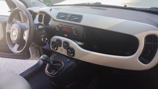 FIAT Panda usata 24