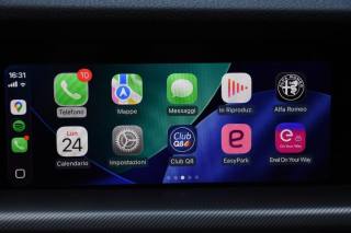 ALFA ROMEO Stelvio usata, con Cronologia tagliandi