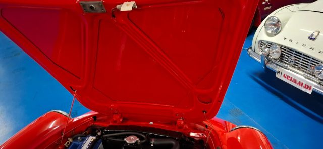 ALFA ROMEO Spider usata 34