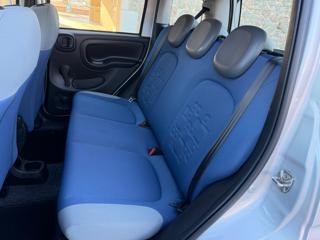FIAT Panda usata, con Cronologia tagliandi
