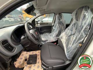 FIAT Panda usata, con Climatizzatore