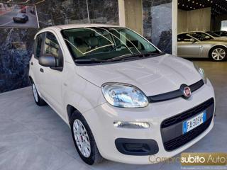 FIAT Panda usata 24