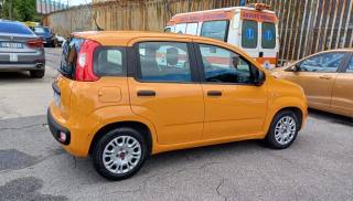 FIAT Panda usata, con Antifurto