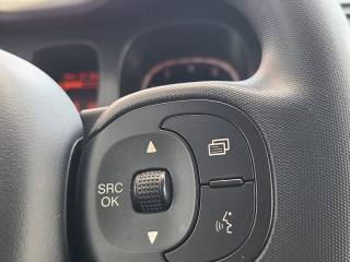 FIAT Panda Cross usata, con Bluetooth