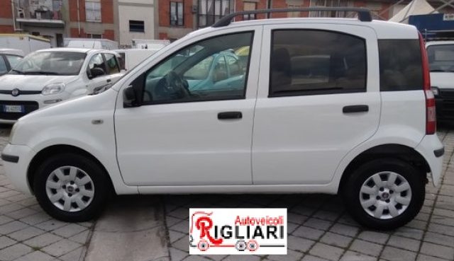 FIAT Panda usata 3