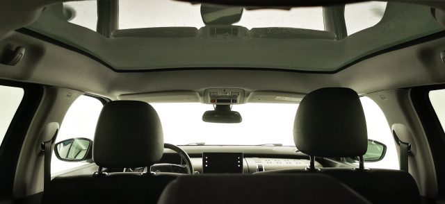 CITROEN C4 Cactus usata 50