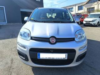 FIAT Panda usata 2