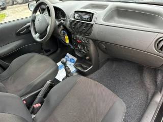 FIAT Punto usata, con Climatizzatore