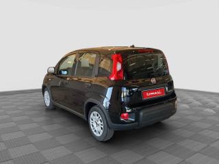 FIAT Panda usata 2