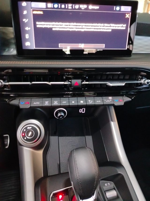 ALFA ROMEO Tonale usata 33