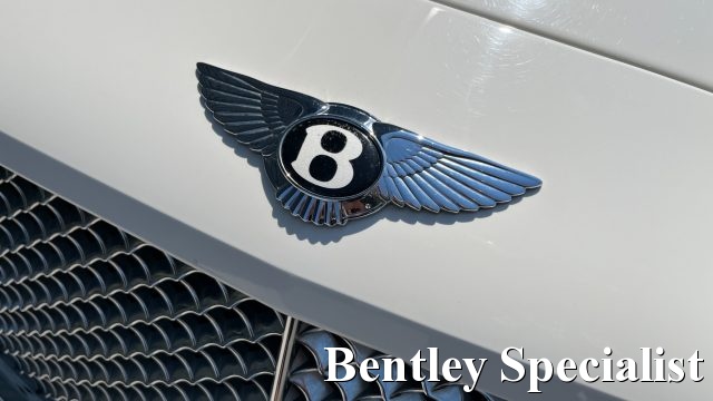 BENTLEY Continental usata, con Fendinebbia