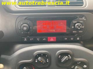 FIAT Panda usata, con Airbag testa