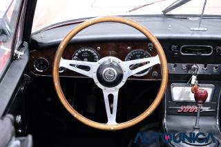 AUSTIN Healey usata 6