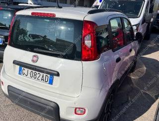 FIAT Panda usata, con Airbag Passeggero