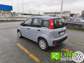 FIAT Panda usata, con Climatizzatore