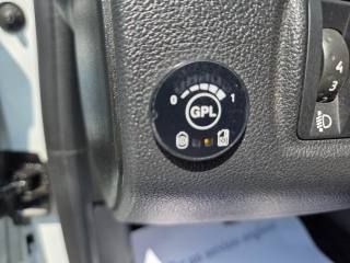 RENAULT Clio usata, con Fendinebbia