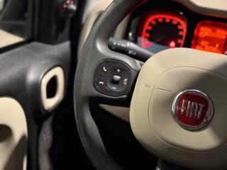 FIAT Panda usata, con Trazione integrale