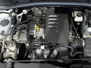 SKODA Fabia usata 22
