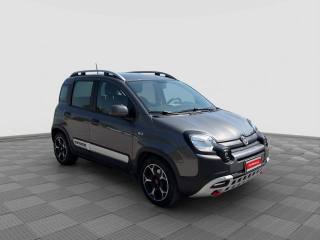 FIAT Panda Cross usata 6