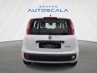 FIAT New Panda usata, con Airbag Passeggero