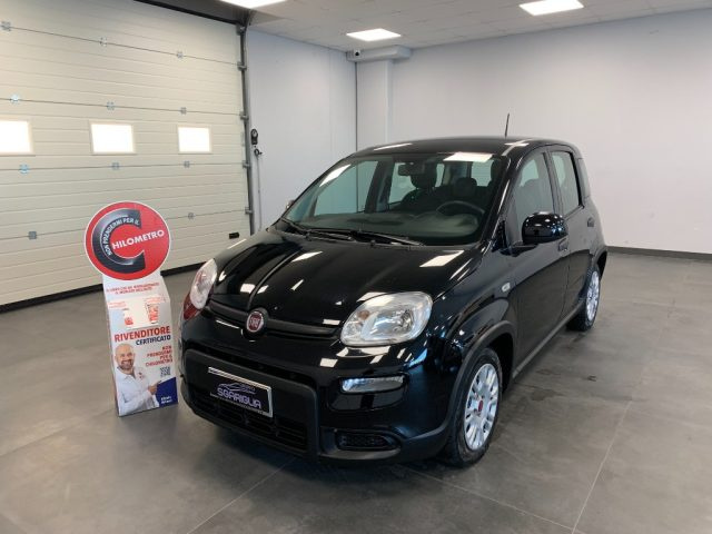 FIAT Panda usata, con Airbag Passeggero