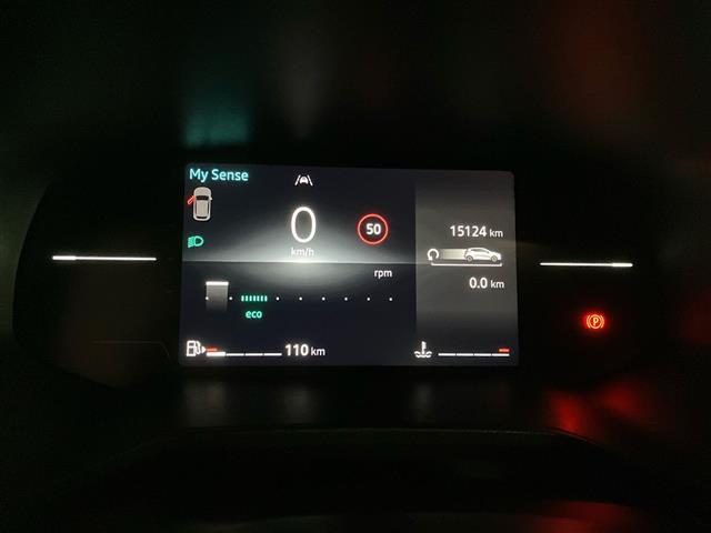 RENAULT Clio usata, con Bracciolo