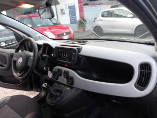 FIAT Panda Cross usata, con Airbag testa