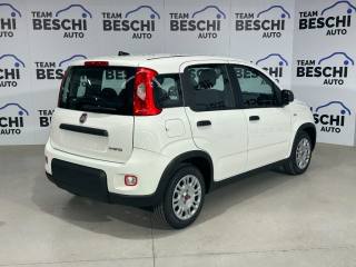 FIAT Panda usata, con Antifurto