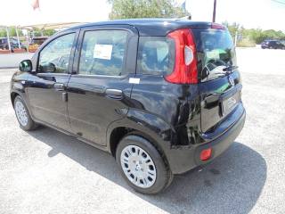 FIAT Panda usata, con ESP