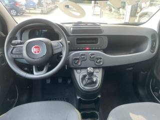 FIAT Panda usata, con Immobilizzatore elettronico
