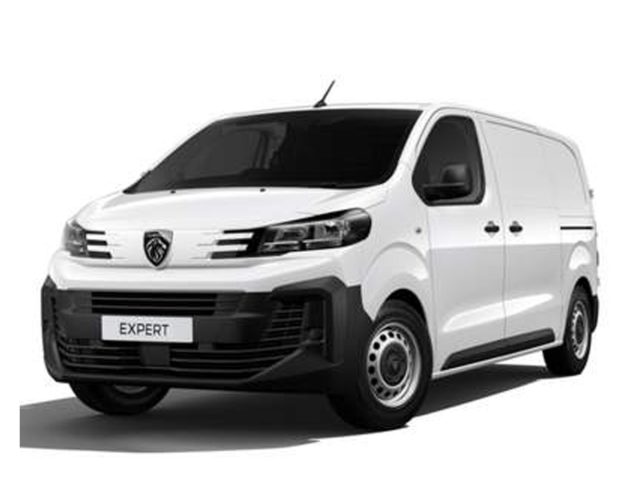 PEUGEOT Expert usata, con ABS